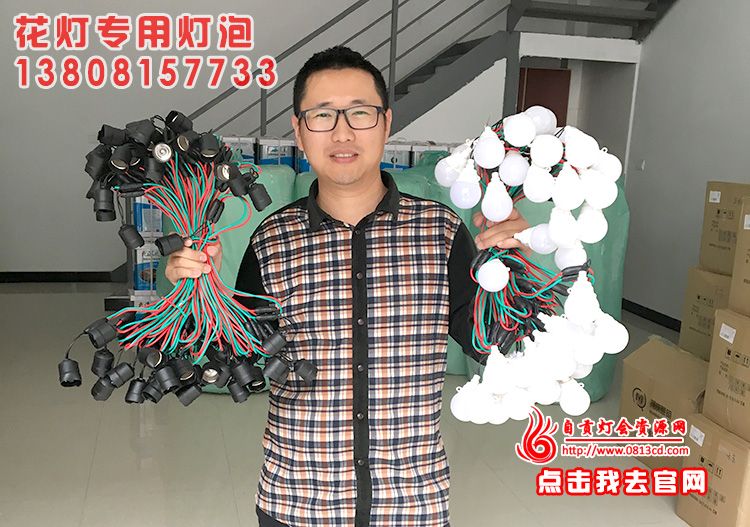 花燈串燈泡購(gòu)買(mǎi)通道